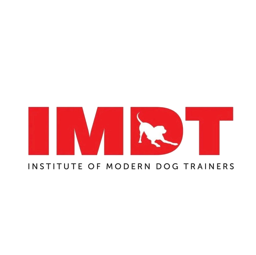 IMDT partner logo