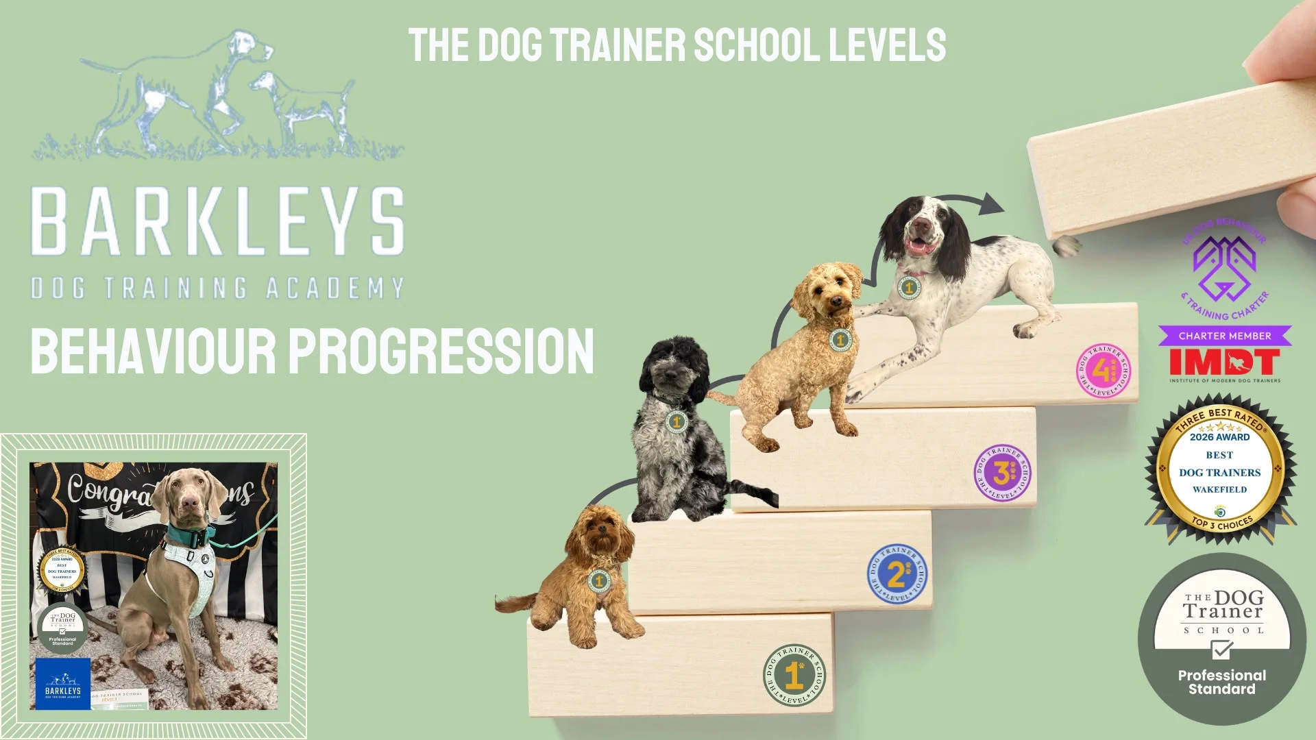 Behaviour Progression Course banner