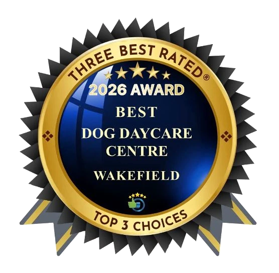 Best Three Rated 2025 logo