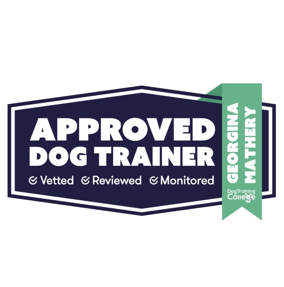 Dog Training College logo