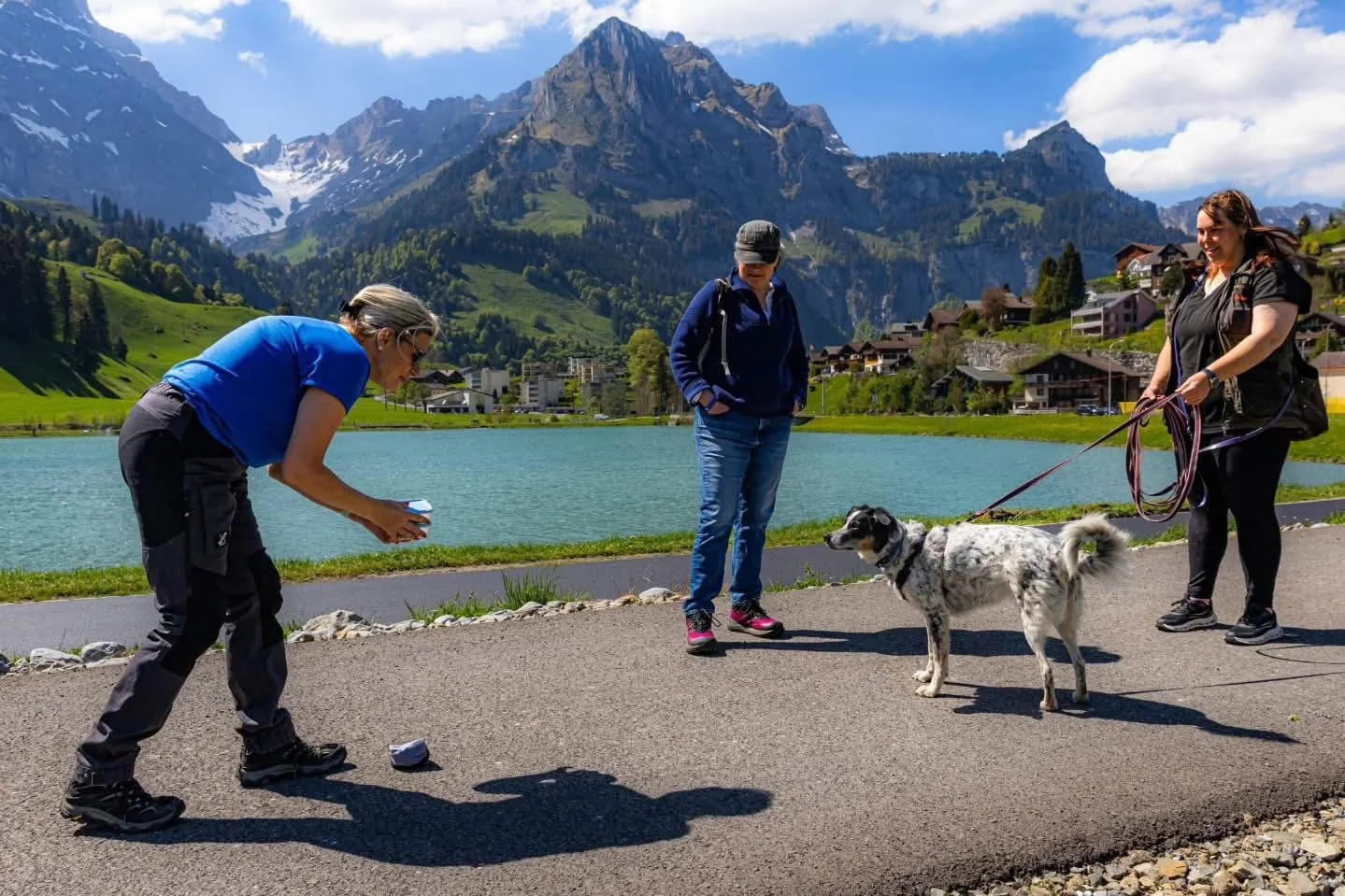 gee mantrailing holiday
