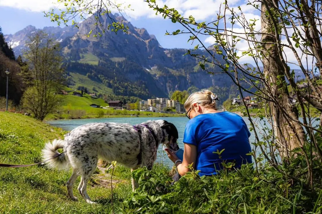 The owner of barkleys gee with her dog in switzerland after a day of mantrailing